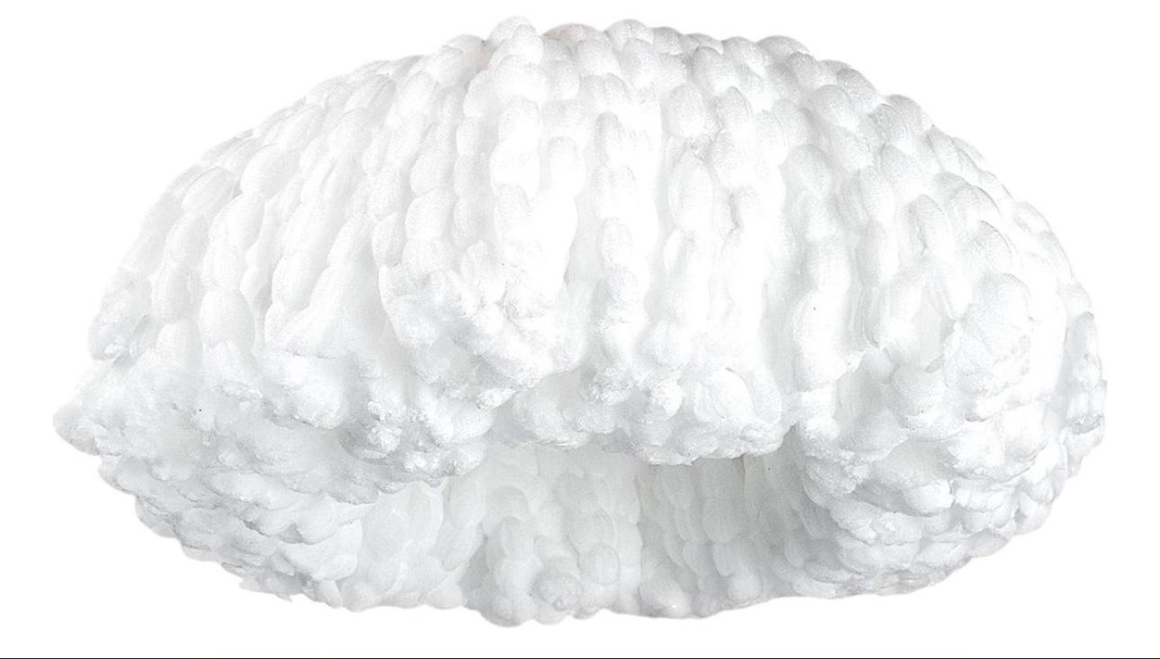 Miniatura 2 de MOPA PARA BALDES GIRATORIOS